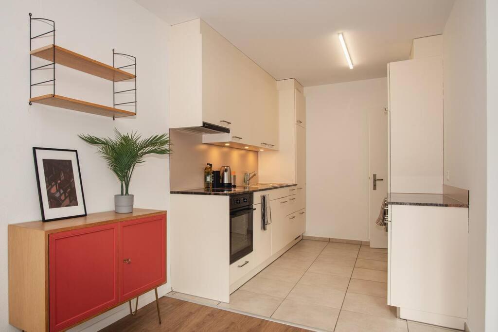 Spacious Apartment Next To Rhine Bâle Extérieur photo