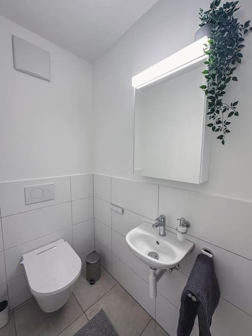 Spacious Apartment Next To Rhine Bâle Extérieur photo